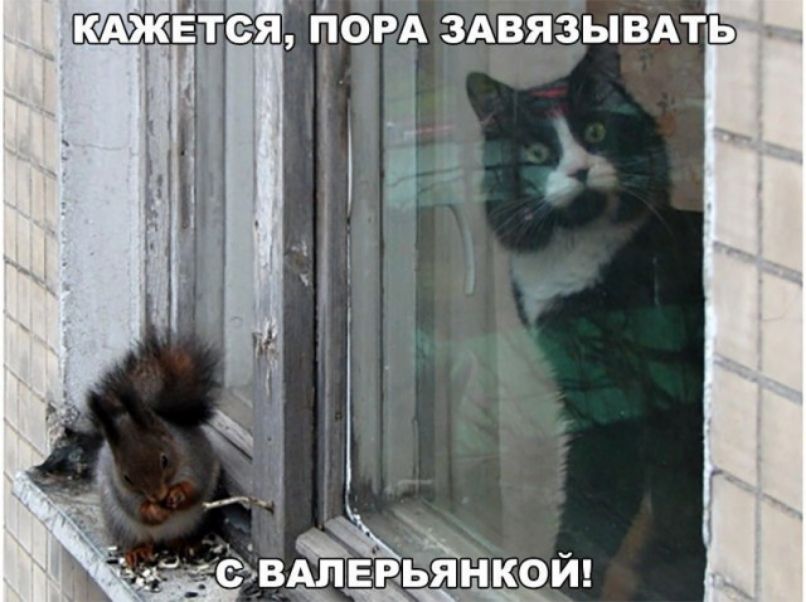 ОРА ЗАВЯЗЫВАТЬ т