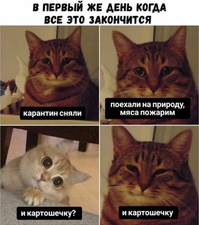 В ПЕРВЫЙ ЖЕ ДЕНЬ КОГДА ВСЕ ЭТО ЗАКОНЧИТСЯ поехали на природу карантин СНЯЛИ МЯСЭ пожарим _ и картошечку и картошечку