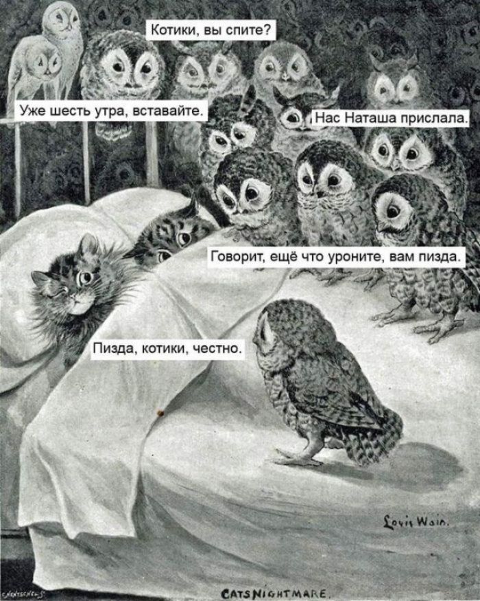 Котики вы спите смзйпытццдъ
