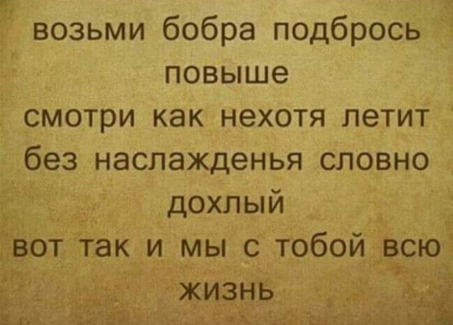 возьми бобра подбрось 5 повыше смотри как нехотя летит без наслажденья словно дохлый _ от Ттак и_ мы _с тобой_і3__сю5