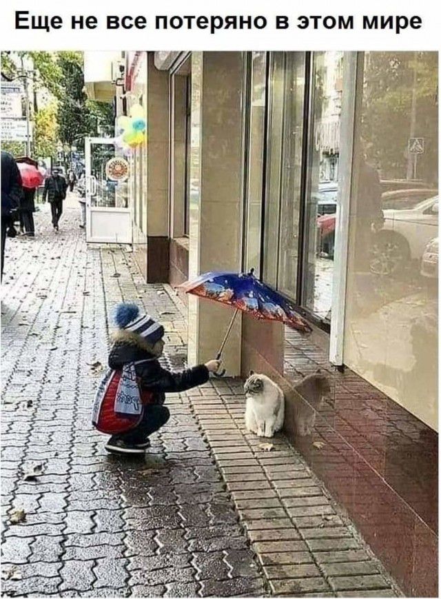 Еще не все потеряно В ЭТОМ мире