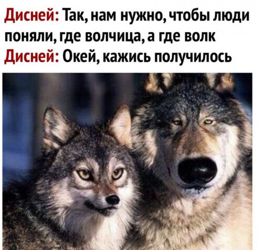 Дисней Так нам нужно чтобы люди поняли где волчицаа где волк Дисней Окей кажись получилось