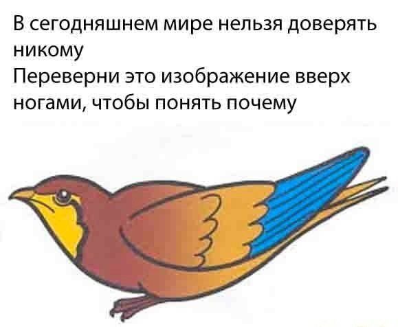 В сегодняшнем мире нельзя доверять никому Переверни это изображение вверх ногами чтобы понять почему