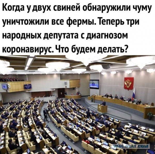Когда удвух свиней обнаружили чуму уничтожили все фермыТеперь три народных депутата с диагнозом коронавирус Что будем делать