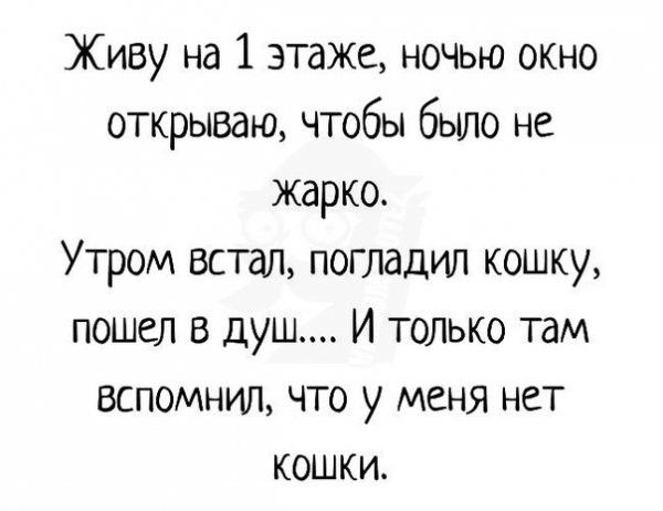 Живу на 1 этаже ночью окно открываю чтобы бьшо не жарко Утром встал погладил кошку пошел в душ И только там вспомнил что у меня нет кошки