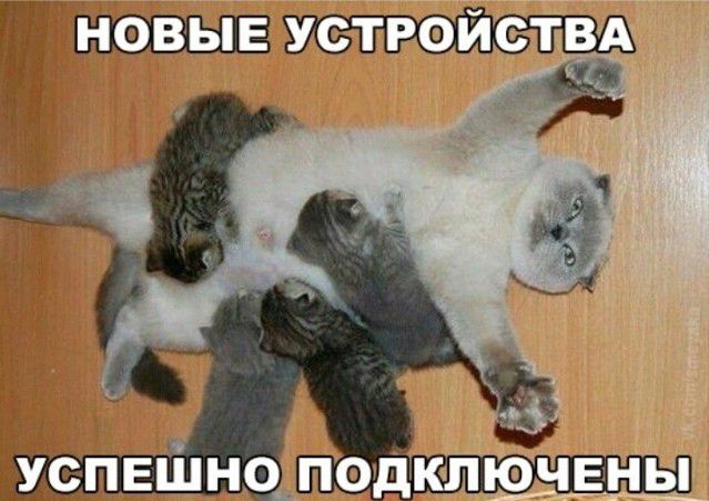 НОВЫЕ УСТРОЙСТВА