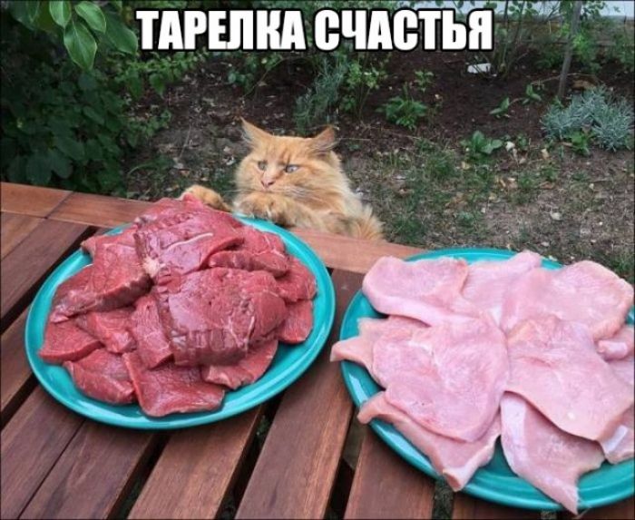 _ 15 ГЗ тшпнд ечпстьп _ 4