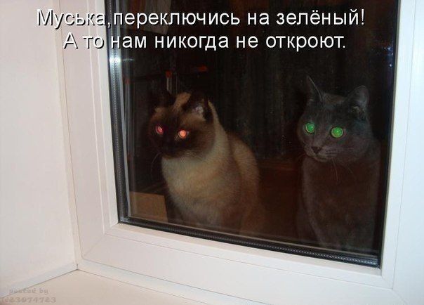 перекпюч ись на зепён ый ЭМ НИКОГДЭ не откроют