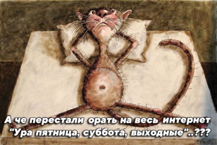 А че ересили орать йп пятинцд А