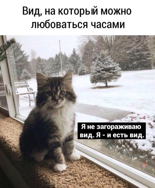 Вид на который можно любоваться часами