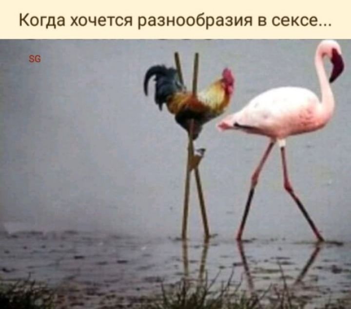 Когда хочется разнообразия в сексе