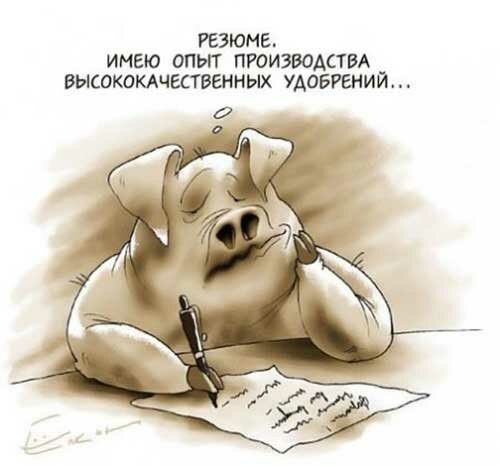 РЕЗЮМЕ ИМЕЮ ОПЫТ ПРОИЗВОАСТВА ВЫСОКОКАЧЕСТВЕННЫХ УАОБРЕНИЙ