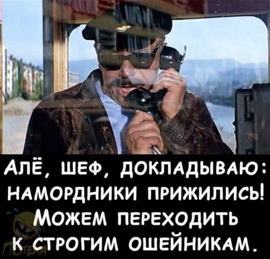Алё шеф докмдымю НАМОРДНИКИ прижились Можем переходить к строгим ОШЕЙНИКАМ