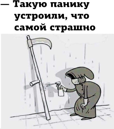 Такую панику устроили что самой страшно