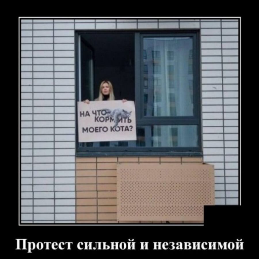 ЬОГЪ ИТЬ МОЕГ КОТАу Протест сильной и независимой