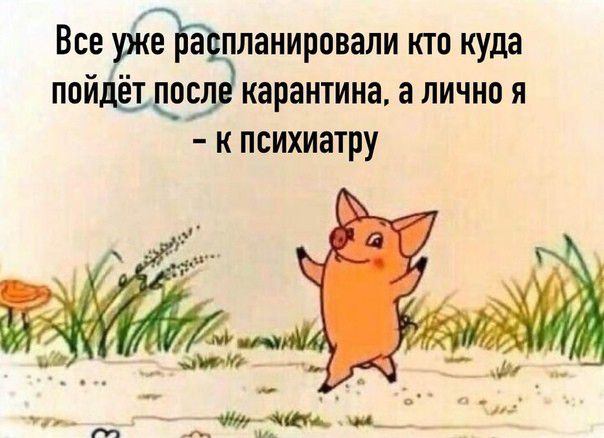 Все е а планировали кю куда пойёщгс карантина а лично я к психиатру