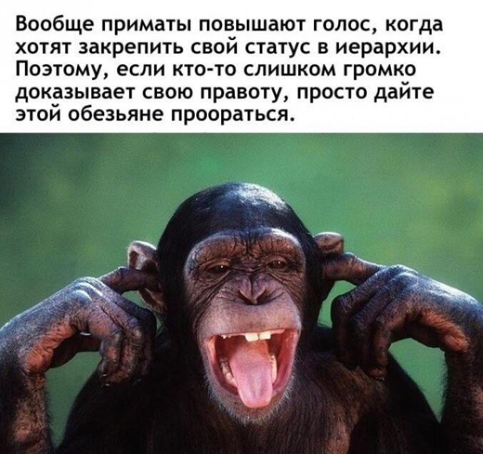 Вообще приматы повышают голос когда хотят закрепить свой статус в иерархии Поэтому если кто то слишком громко доказывает свою правоту просто дайте этой обезьяне проораться
