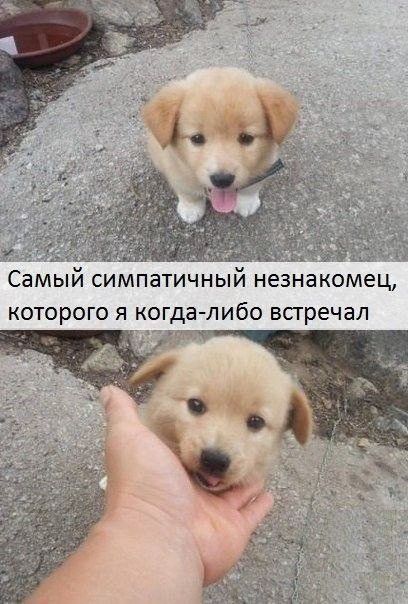 Ёп Самый симпатичный незнакомец которого я когда либо всгречал