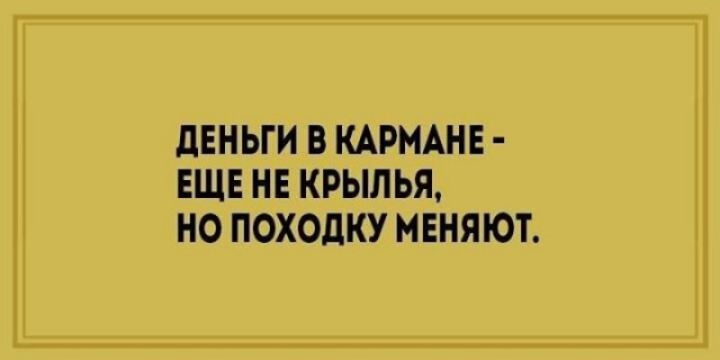 дЕНЬГИ В КАРМАНЕ ЕЩЕ НЕ КРЫЛЬЯ НО ПОХОДКУ МЕНЯЮТ