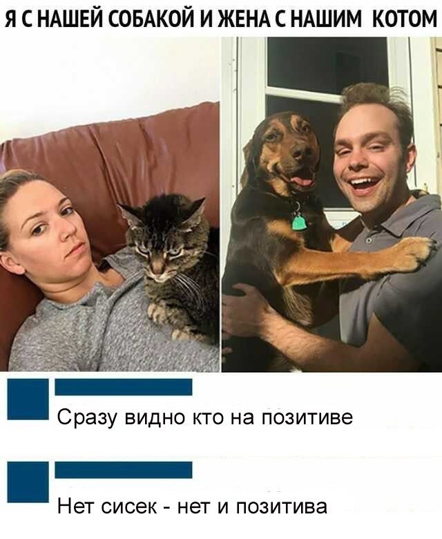 Я С НАШЕЙ СОБАКОЙ И ЖЕНА С НАШИМ КОТОМ ЧУ _ Сразу видно кто на позитиве _ Нет сисек нет и позитива