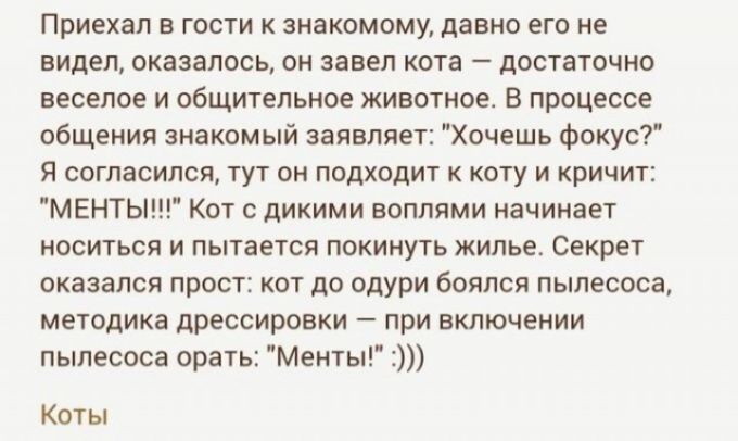 Приехал в гости к знакомому давно его не видел оказалось он завел кота достаточно веселое и общительное животное В процессе общения знакомый заявляет Хочешь фокус Я согласился тут он подходит к коту и кричит МЕНТЫШ Кот с дикими воплями начинает носиться и пытается покинуть жилье Секрет оказался прост кот до одури боялся пылесоса методика дрессировки при включении пылесоса орать Менты Коты
