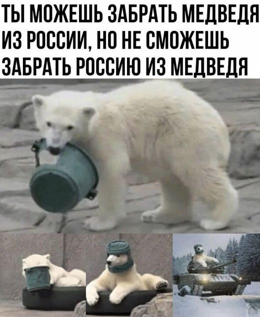 ТЫ МОЖЕШЬ ЗАБРАТЬ МЕДВЕДЯ ИЗ РОССИИ НО НЕ СМОЖЕШЬ ЗАБРАТЬ РПСБИЮ ИЗ МЕДВЕДЯ