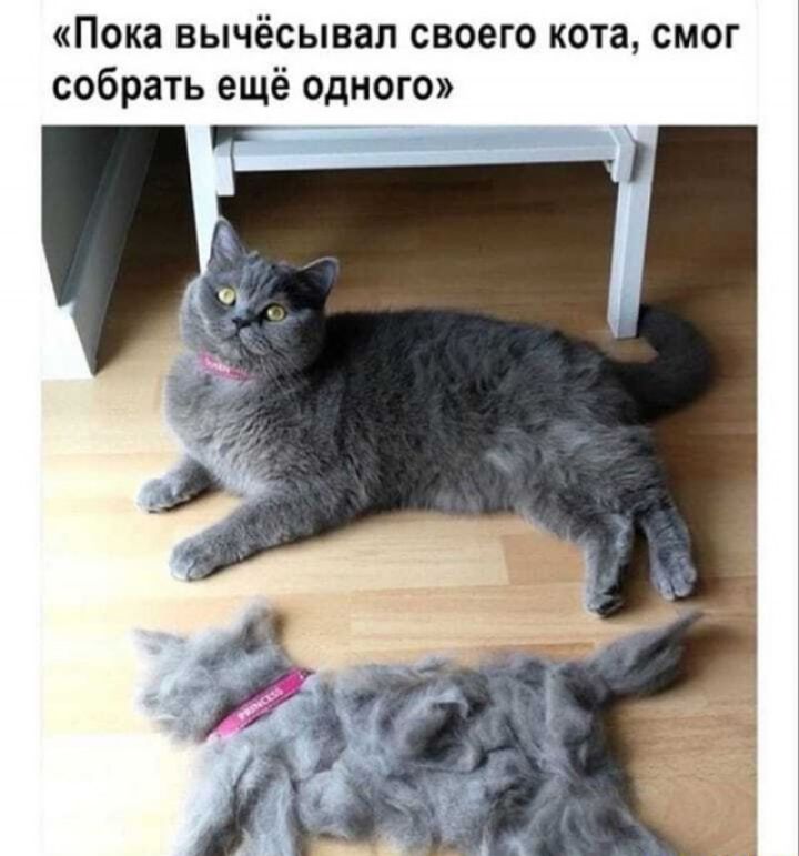 Пока вычёсывал своего кота смог собрать ещё одного