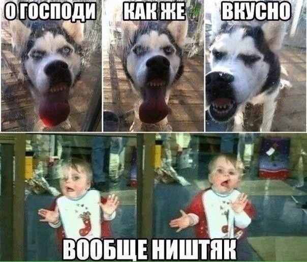ШШБЩЕ НИШПШ