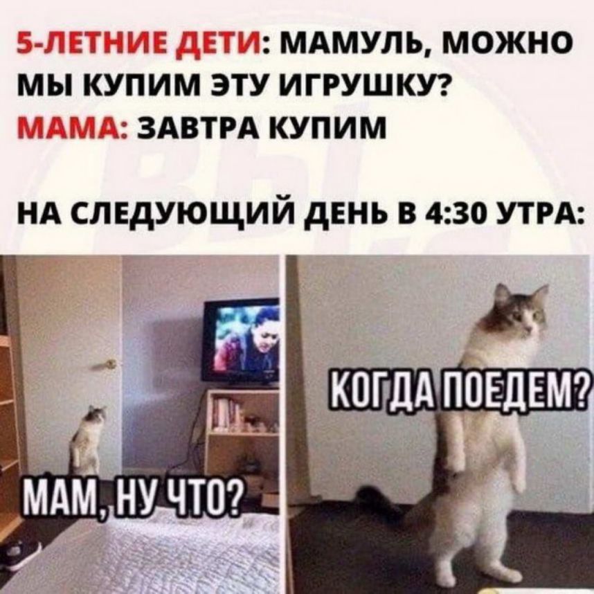 МАМУЛЬ МОЖНО МЫ КУПИМ ЭТУ ИГРУШКУ _ ЗАВТРА КУПИМ НА следующий двнь в 430 УТРА