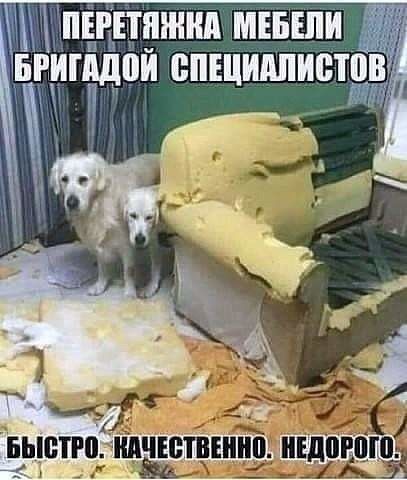 Г ЕПЕИИПМЕБШИ БРИПЩПИ БПЩИЁШИЁШВ