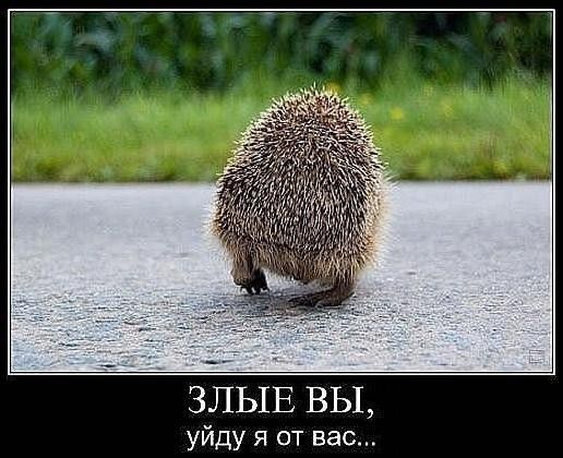 ЗЛЫЕ вы уйду я от вас