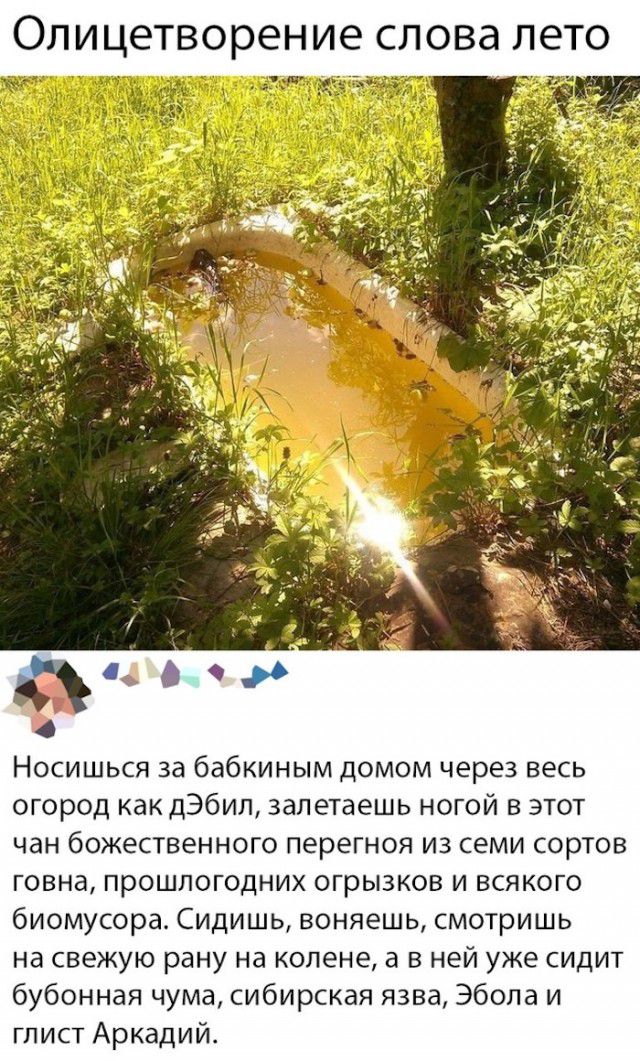 ОЛИЦЕТВОРЭНИЭ СЛОВЭ ЛЭТО Носишься за бабкиным домом через весь огород как дЭбил залетаешь ногой в этот чан божественного перегноя из семи сортов говна прошлогодних огрызков и всякого биомусора Сидишь воняешь смотришь на свежую рану на колене а в ней уже сидит бубонная чума сибирская язва Эбола и глист Аркадий