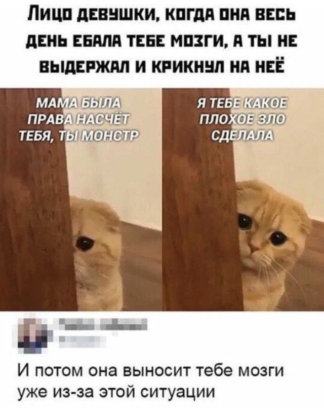 ИШ дЕВНШКИ КПГдП ПНП ВЕЕЬ ЛЕНЬ ЕЕ ТЕБЕ МПЗГИ В ТЫ НЕ ВЬЩПЖМ И КРИК НП НЕЁ тп И потом она выносит тебе мозги уже из за этой ситуации