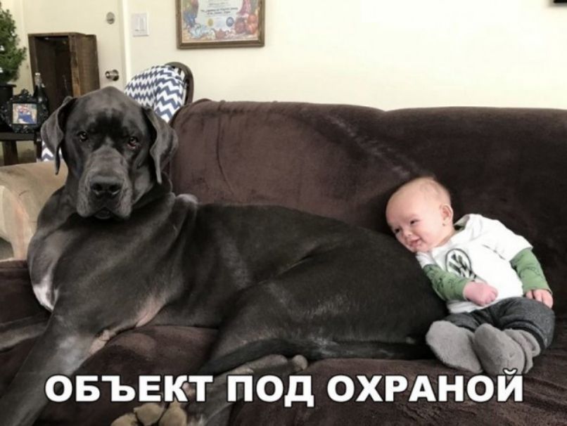 ОБЪЕКТ ПОД ОХРАНОЙ