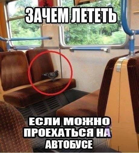 юпи можно ПРПЕХАТЬЁЩ АВТОШЁЁ