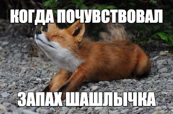 ШПДЁэ ччветвпыш ИЗ