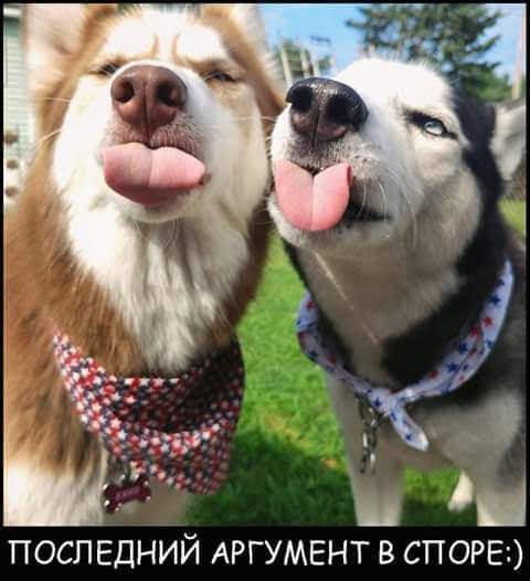Ы ш ПОСЛЕДНИЙ АРГУМЕНТ В СПОРЕЕ