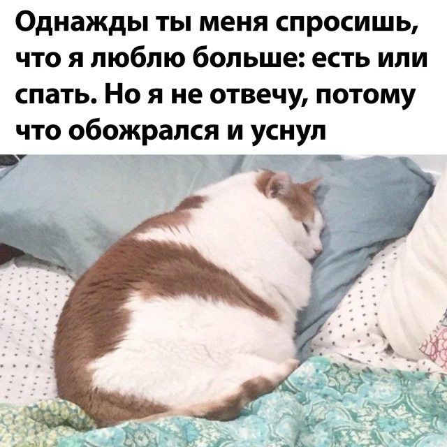 Однажды ты меня спросишь что я люблю больше есть или спать Но я не отвечу потому что обожрапся и уснул