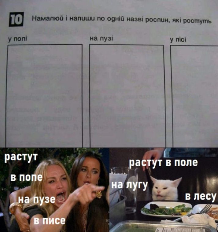Ш намапюй і напиши пп о9ні0 назш рослин які ростуть У от на пузн у пісі Е В поле