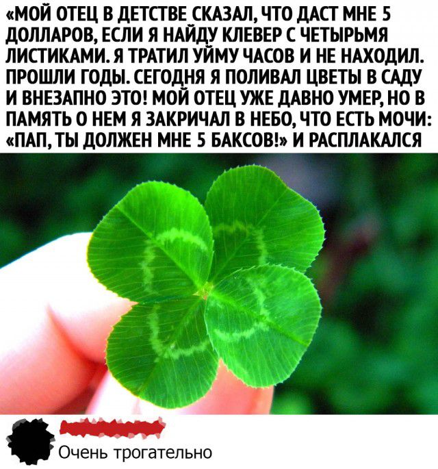 МОИ ОТЕЦ В дЕТСТВЕ_СКА3АЛ ЧТО дАСТ МНЕ 5 дОЛЛАРОВ ЕСЛИ Я НАИДУ КЛЕВЕР С ЧЕТЫРЬМЯ ЛИСТИКАМИ Я ТРАТИЛ УЙМУ ЧАСОВ И НЕ НАХОДИЛ ПРОШЛИ ГОДЫСЕГ0Д_НЯ Я ПОЛИВАП ЦВЕТЫ В САДУ И ВНЕЗАПНО ЭТО МОИ ОТЕЦ УЖЕ ДАВНО УМЕР НО В ПАМЯТЬ О НЕМ Я ЗАКРИЧАЛ В НЕБО ЧТО ЕСГ Ь МОЧИ ПАПТЫ дОЛЖЕН МНЕ 5 БАКСОВ И РАСПЛАКАЛСЯ Очень трогательно