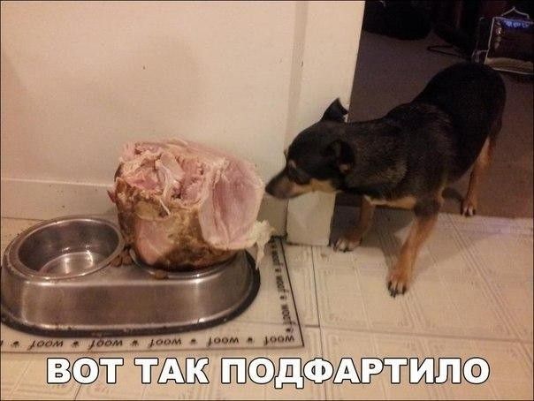 Ё т т