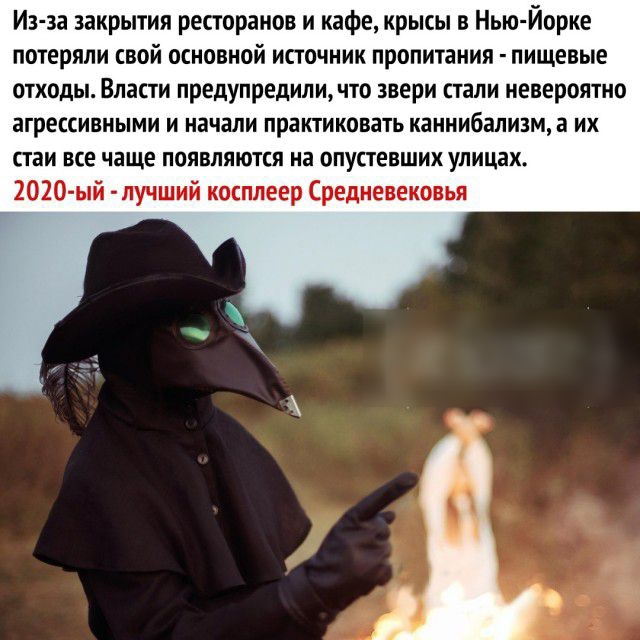 Из за закрытия ресторанов и кафе крысы Нью Йорке потеряли свой основной источник пропитания пищевые отходы Власти предупредили что звери стали невероятно агрессивными и начали практиковать каннибализм а их стаи все чаще появляются на опустевших улицах 2020 ый лучший косппеер Средневековья