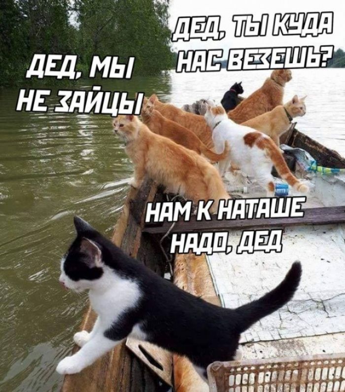дБд МЫ д НЕ ЗЛИЦЫ