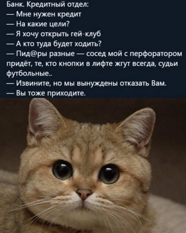Банк Кредитный отдел Мне нужен кредит На какие цели Я хочу открыть гей клуб А кто туда будет ходить Пидры разные сосед мой с перфоратором придёт те кто кнопки в лифте жгут всегда судьи футбольные Извините но мы вынуждены отказать Вам Вы тоже приходите
