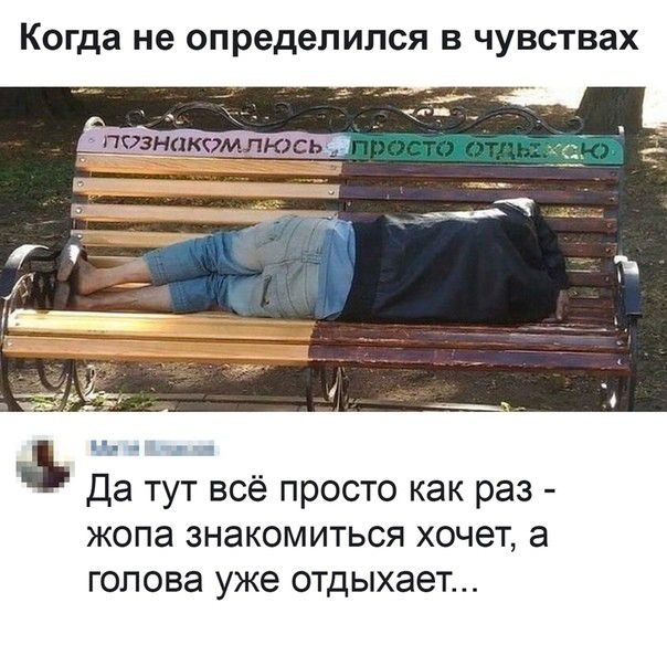Когда не определился В ЧУВСТВЗХ на или Да тут всё просто как раз жопа знакомиться хочет а голова уже отдыхает