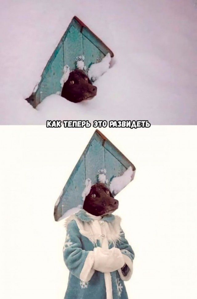 ШЗ ТЕПЕРЬ РАЗВИАЕТЬ