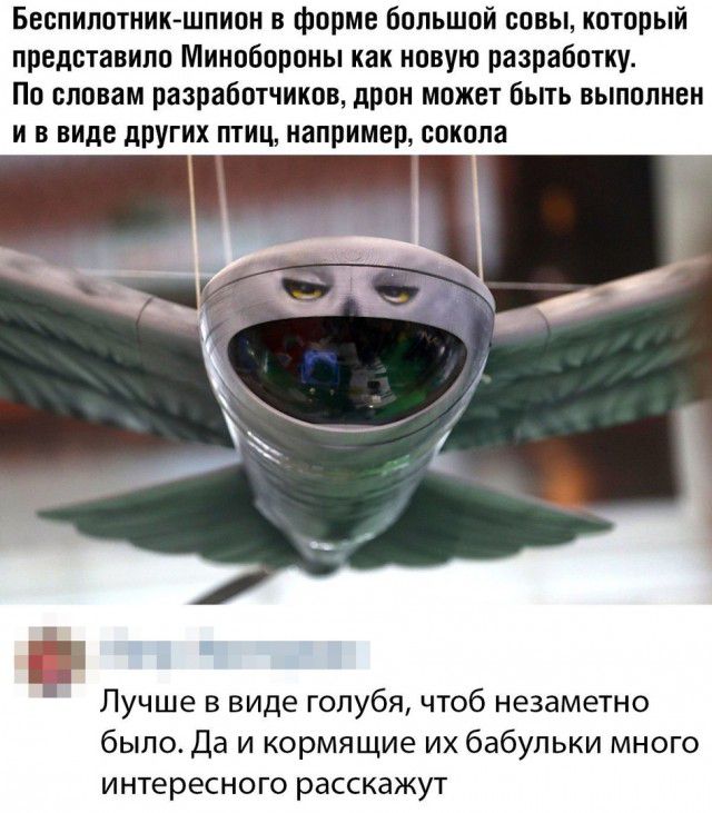 Беопилотникшпион в форме большой оовы который представило Минобороны как новую разработку По словам разработчиков дрон может быть выполнен и в виде других птиц например сокола Лучше в виде голубя чтоб незаметно было Да и кормящие их бабульки много интересного расскажут