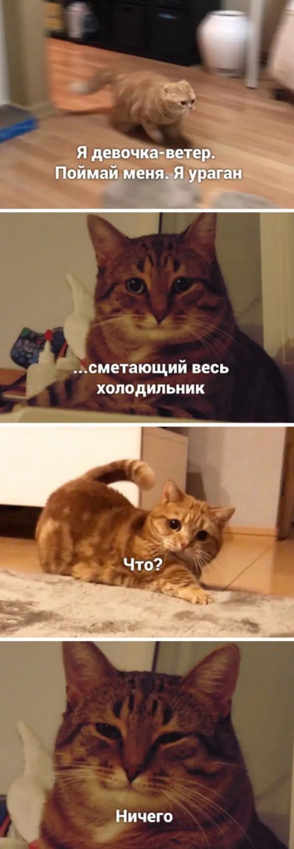 А сметающий весь холодильник Ничего