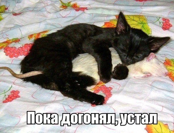 Щ