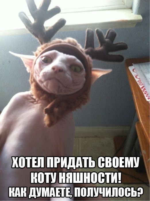 ХВТШ ПРИДАТЬ ВВВЕМУ ВТУШШНВЁТИ ШШ МЫШЬ ПВЛУЧИПВБЬ